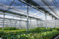 //imrorwxhpjjnli5q.ldycdn.com/cloud/poBpiKnllqSRqlokjlpqip/Modern-Greenhouse-With-Polycarbonate-Roof.jpg